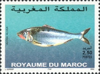 Fish — 2.50(Dh), multicoloured, Alosa alosa