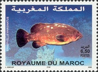 Fish — 6.50(Dh), multicoloured, Epinephelus marginatus