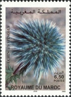 Flowers — 6.50(Dh), multicoloured, Echinops spinosus