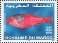 Fish — 6.50(Dh), multicoloured, Anthias anthias