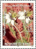 Flowers — 6.50(Dh), multicoloured, Nigella damascena