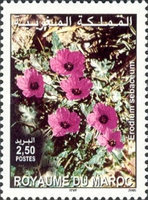 Flowers — 2.50(Dh), multicoloured, Erodium sebaceum