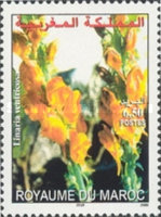 Flowers — 6.50(Dh), multicoloured, Linaria ventricosa