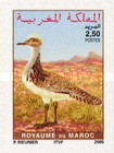 Birds - Self-Adhesive — 2.50(Dh), multicoloured, Burhinus sp.