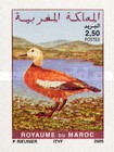 Birds - Self-Adhesive — 2.50(Dh), multicoloured, Oxyura sp.