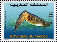 Marine Fauna — 6.00(Dh), multicoloured, Sepia officinalis
