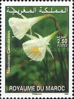 Flowers — 2.50(Dh), multicoloured, Narcissus cantabricus