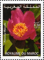 Flowers — 6.50(Dh), multicoloured, Paeonia mascula