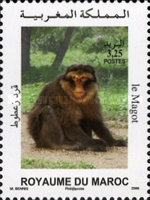 Fauna — 3.25(Dh), multicoloured, Macaca sylvana