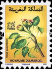 Flowers - Self-Adhesive — 3.25(Dh), multicoloured, Pyrus mamorensis
