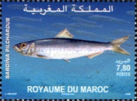 Marine Fauna — 7.80(Dh), multicoloured, Sardina pilchardus