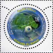 African Football Cup of Nations — 7.80(Dh), multicoloured