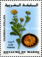 Flowers — 3.25(Dh), multicoloured, Calendula stellata
