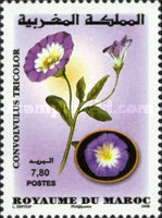Flowers — 7.80(Dh), multicoloured, Convolvulus tricolor