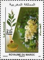 Flora and Fauna — 8.40(Dh), multicoloured, Lawsonia inermis