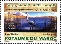 Birds of Morocco — 8.40(Dh), multicoloured, Ardea cinerea
