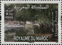 Lakes of Morocco — N 20g, multicoloured, Dayet Aoua