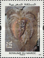 Rocks and Fossils of Morocco — 3.00(Dh), multicoloured, Marrellomorphe of Zagora