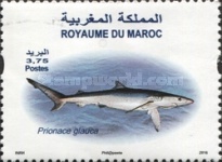 Marine Life - The Blue Shark — 3.75(Dh), multicoloured, Prionace glauca
