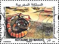 The 43nd Anniversary of the Green March — 9.00(Dh), multicoloured