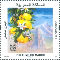Bees and Lemons — 9.00(Dh), multicoloured