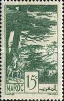Local Motives — 15C, green