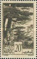 Local Motives — 20C, brownish black