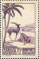 Local Motives — 70C, violet
