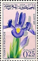 Flowers — 0.25(Dh), multicoloured, Iris sp.