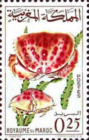 Shellfish — 0.25(Dh), multicoloured, Calappa granulata