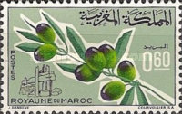 Agricultural Products — 0.60(Dh), multicoloured, Olea europaea