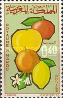 Agricultural Products — 0.40(Dh), multicoloured, Citrus nobilis, Citrus maxima, Citrus sinensis, Citrus limon