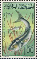 Fish — 1.00(Dh), multicoloured, Pomatomus saltatrix