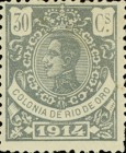King Alfonso XIII - Blue Control Number on Back Side — 30C, greenish black