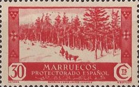 Local Motifs — 30C, red