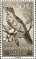 Stamp Day - Birds — 50+10 C, brownish olive, Ramphocorys clotbey