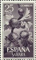 Flowers - Coated paper — 25C, bluish violet, Neurada procumbens