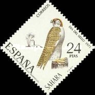 Stamp Day - Birds — 24Pta, multicoloured, Falco biarmicus