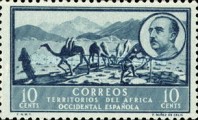 Local Motifs — 10C, dark blue